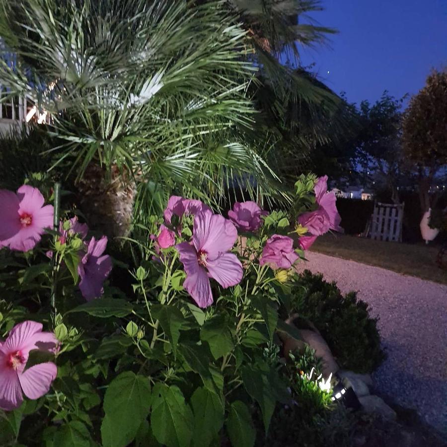 Bnb Fano Collina. La Pace Di Una Vacanza Piagge Exterior photo