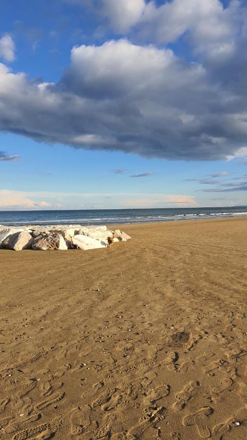 Bnb Fano Collina. La Pace Di Una Vacanza Piagge Exterior photo