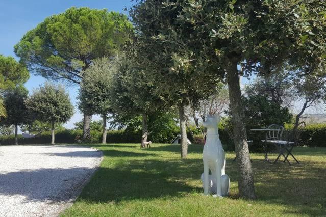 Bnb Fano Collina. La Pace Di Una Vacanza Piagge Exterior photo