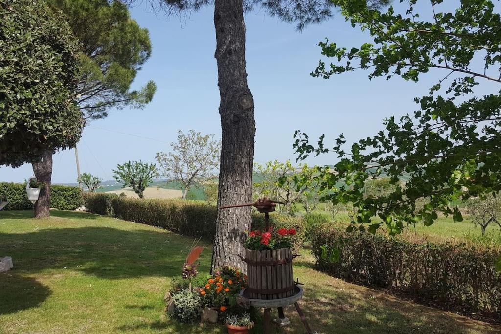 Bnb Fano Collina. La Pace Di Una Vacanza Piagge Exterior photo