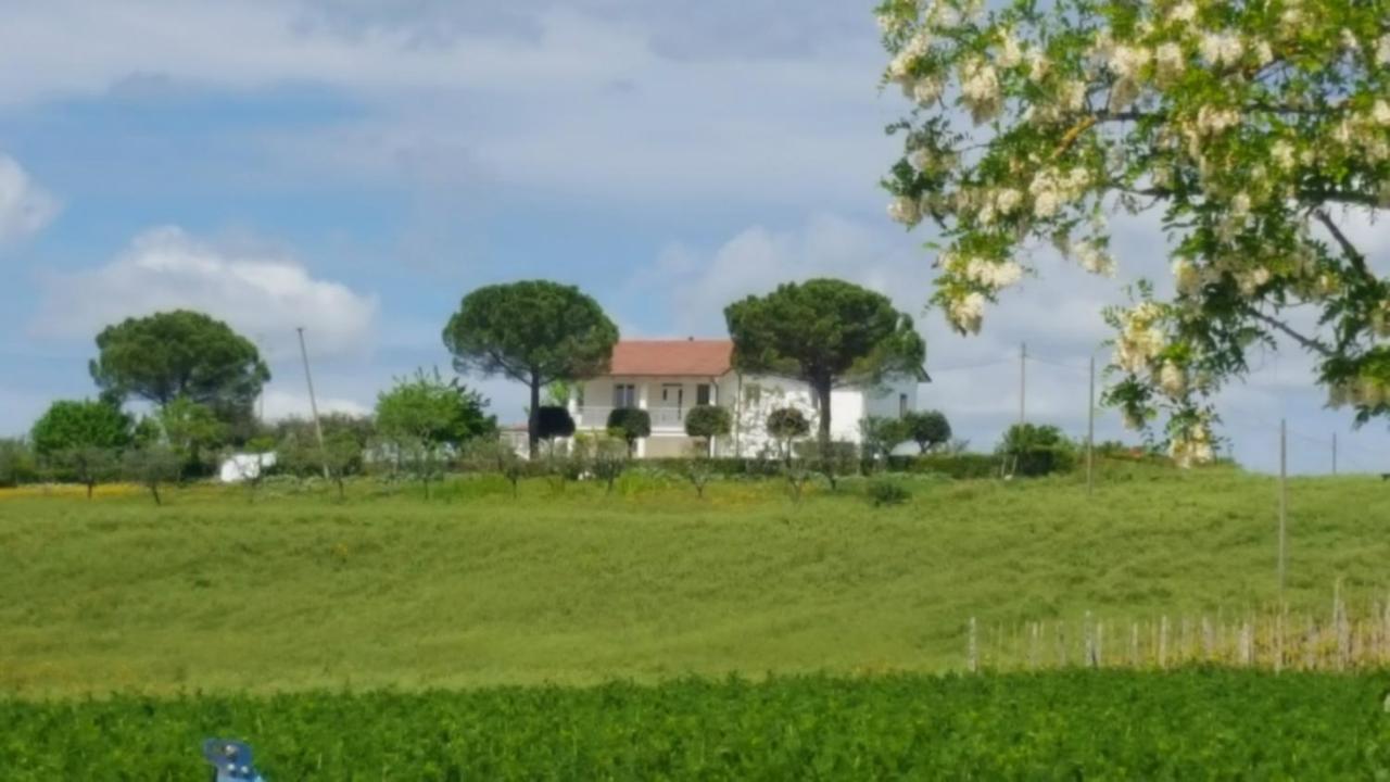 Bnb Fano Collina. La Pace Di Una Vacanza Piagge Exterior photo